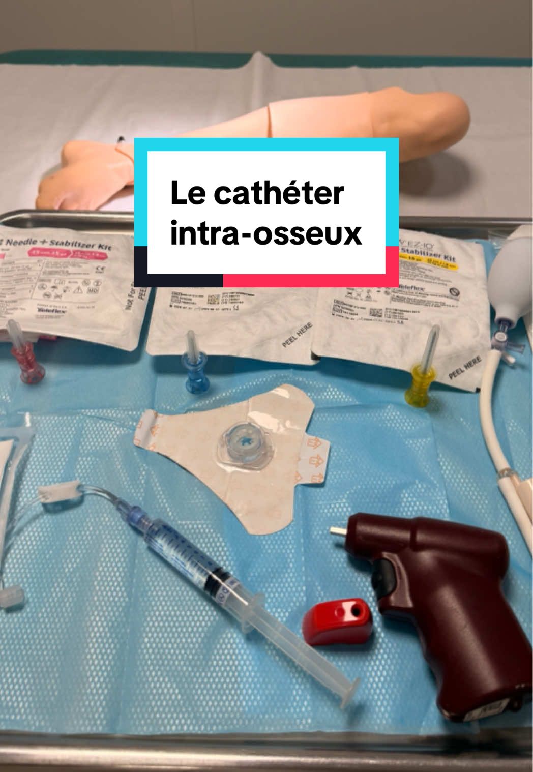 @Clémence IDE 🦋💉