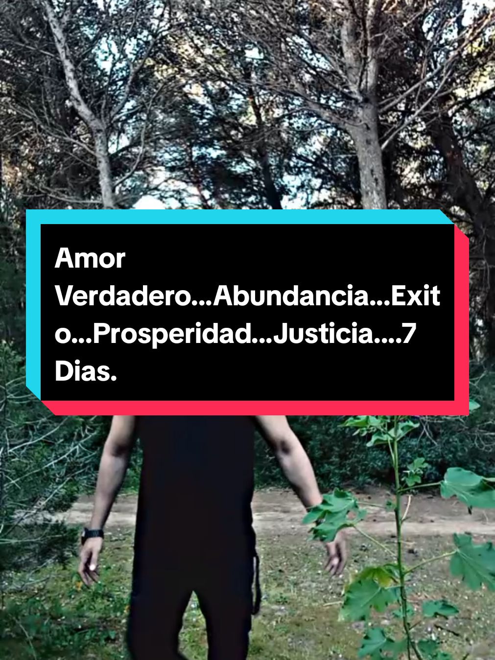 @Javi