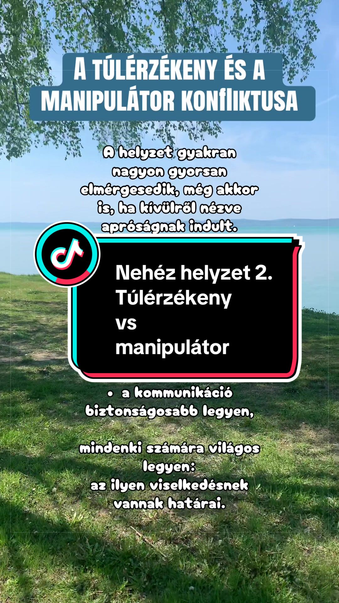 @scsilla_self_guide