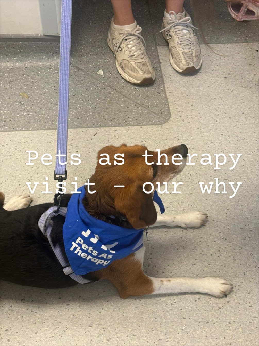 @Winnie&Sophie
