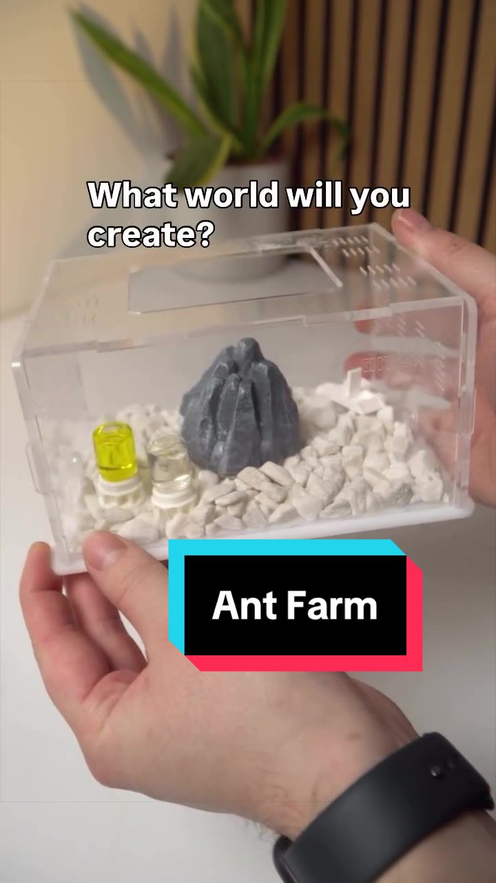 @antshq
