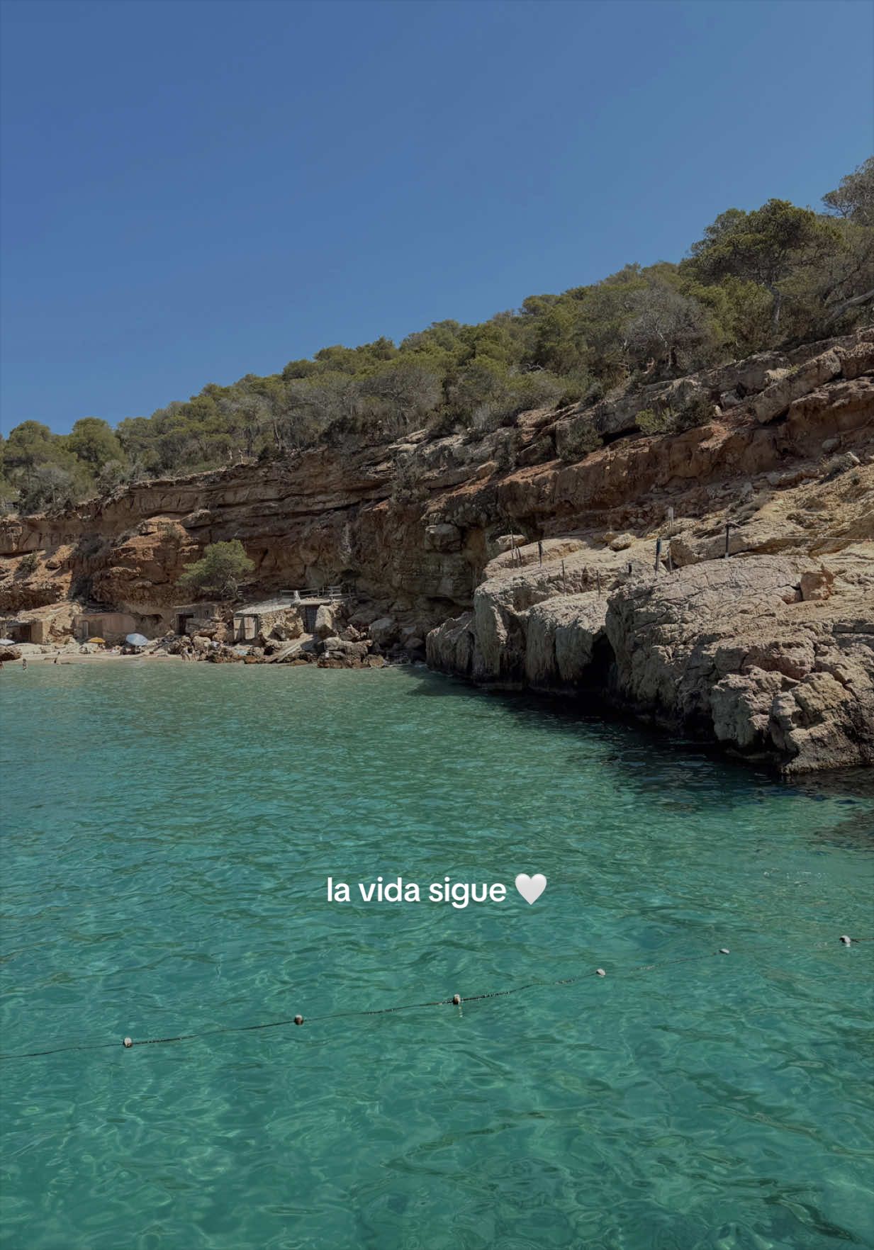 @alba ✨