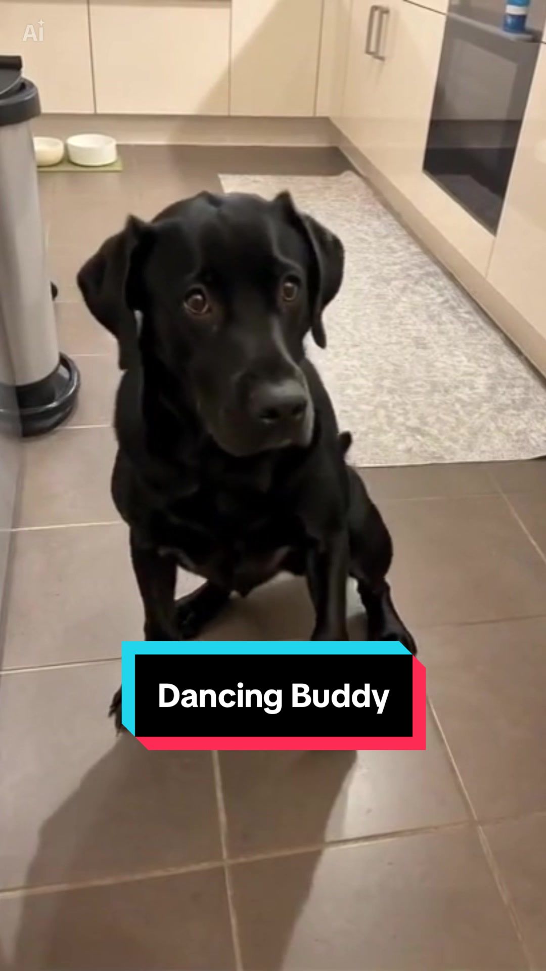 @Buddy