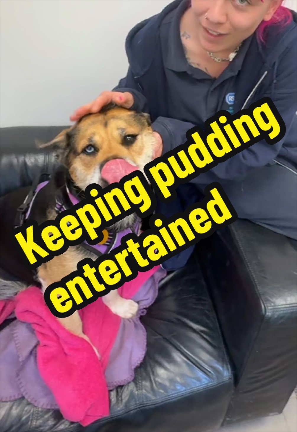 @RSPCA brighton