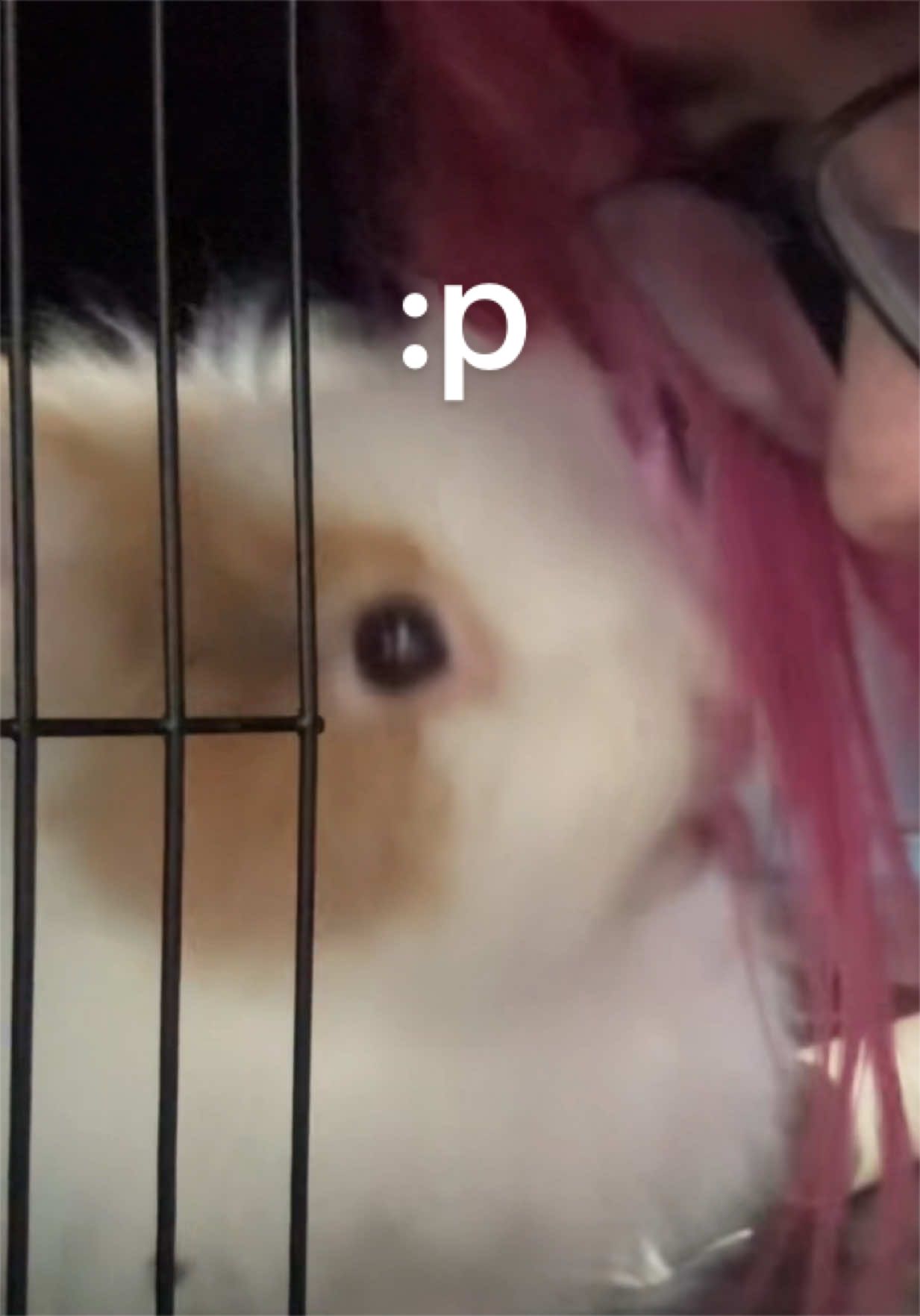 @⋆✮˚.⋆ 𝙋𝙖𝙪𝙡𝙖🍒 ✮˚.⋆