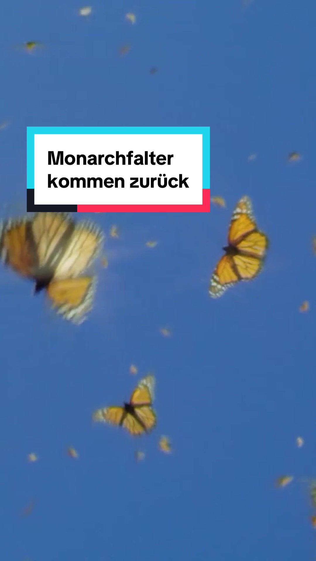 @WWF Schweiz