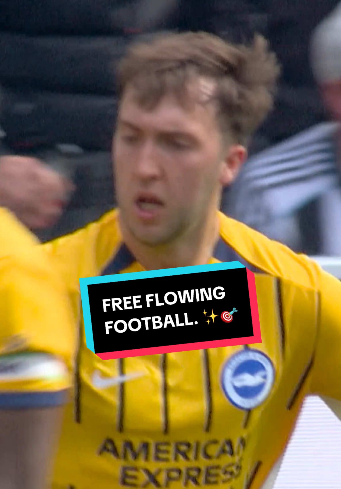 @Brighton & Hove Albion FC