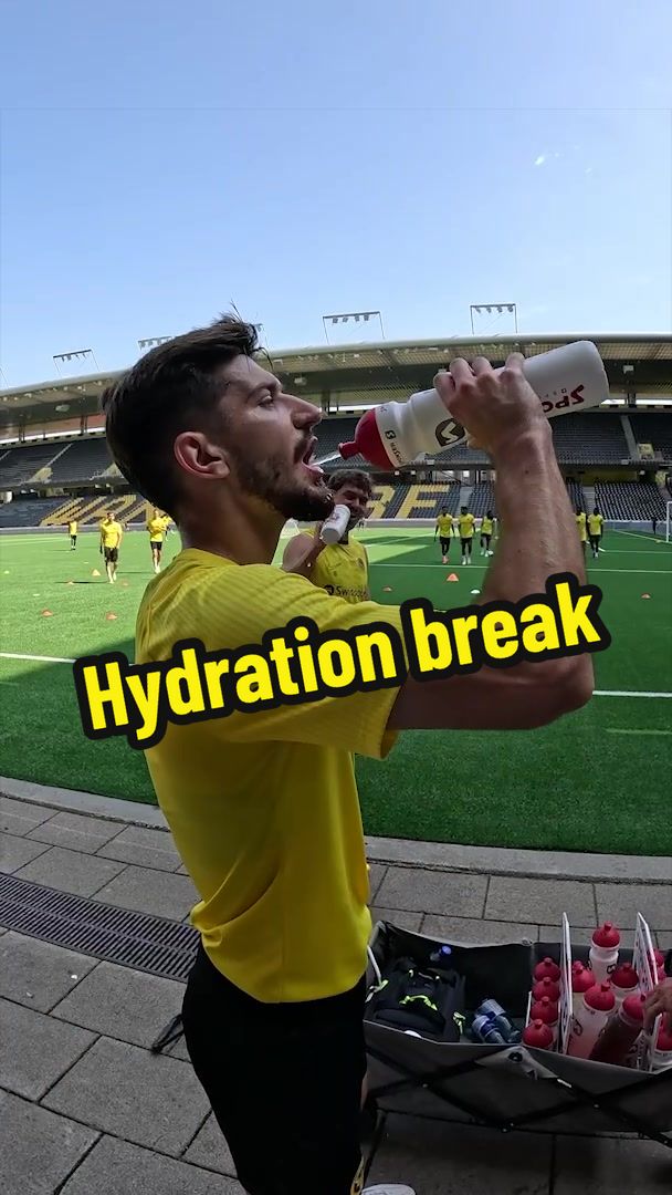 @BSC YOUNG BOYS