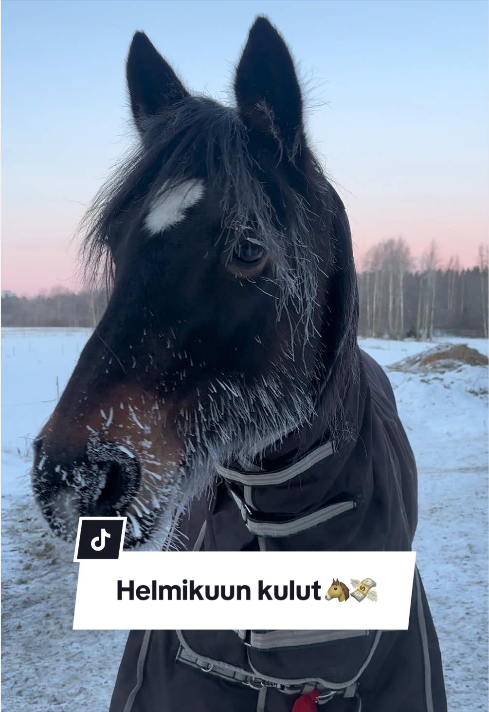@Mansikkam&auml;ki Eventing