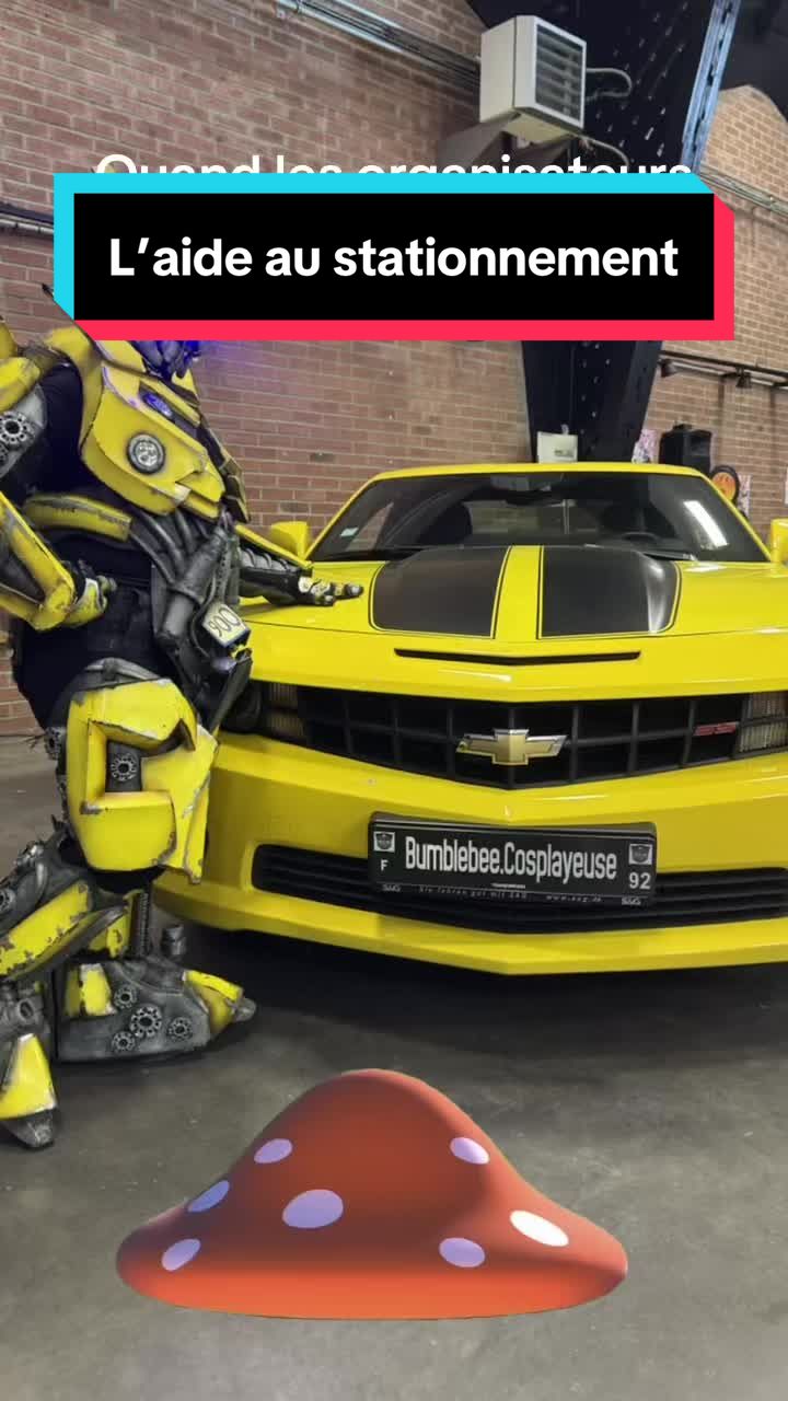 @BumblebeeCosplayeuse