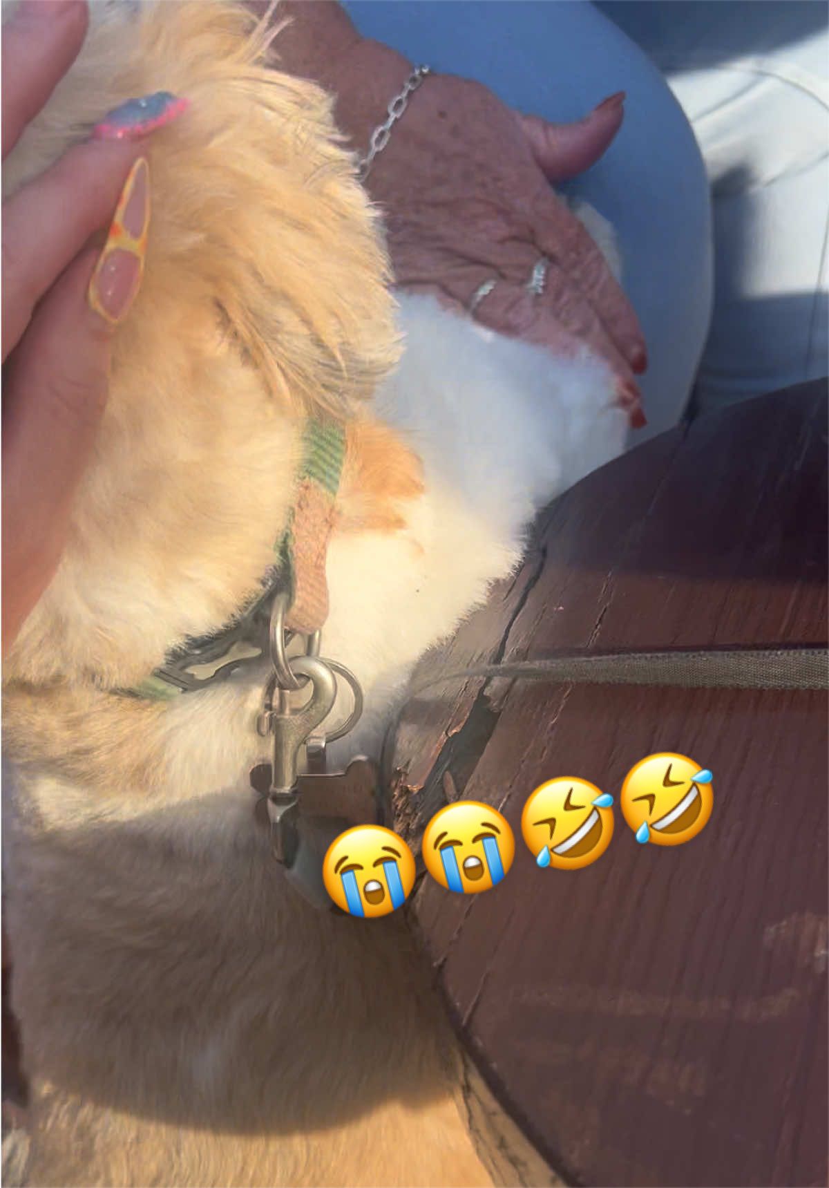 @๐๐๐๐ โก