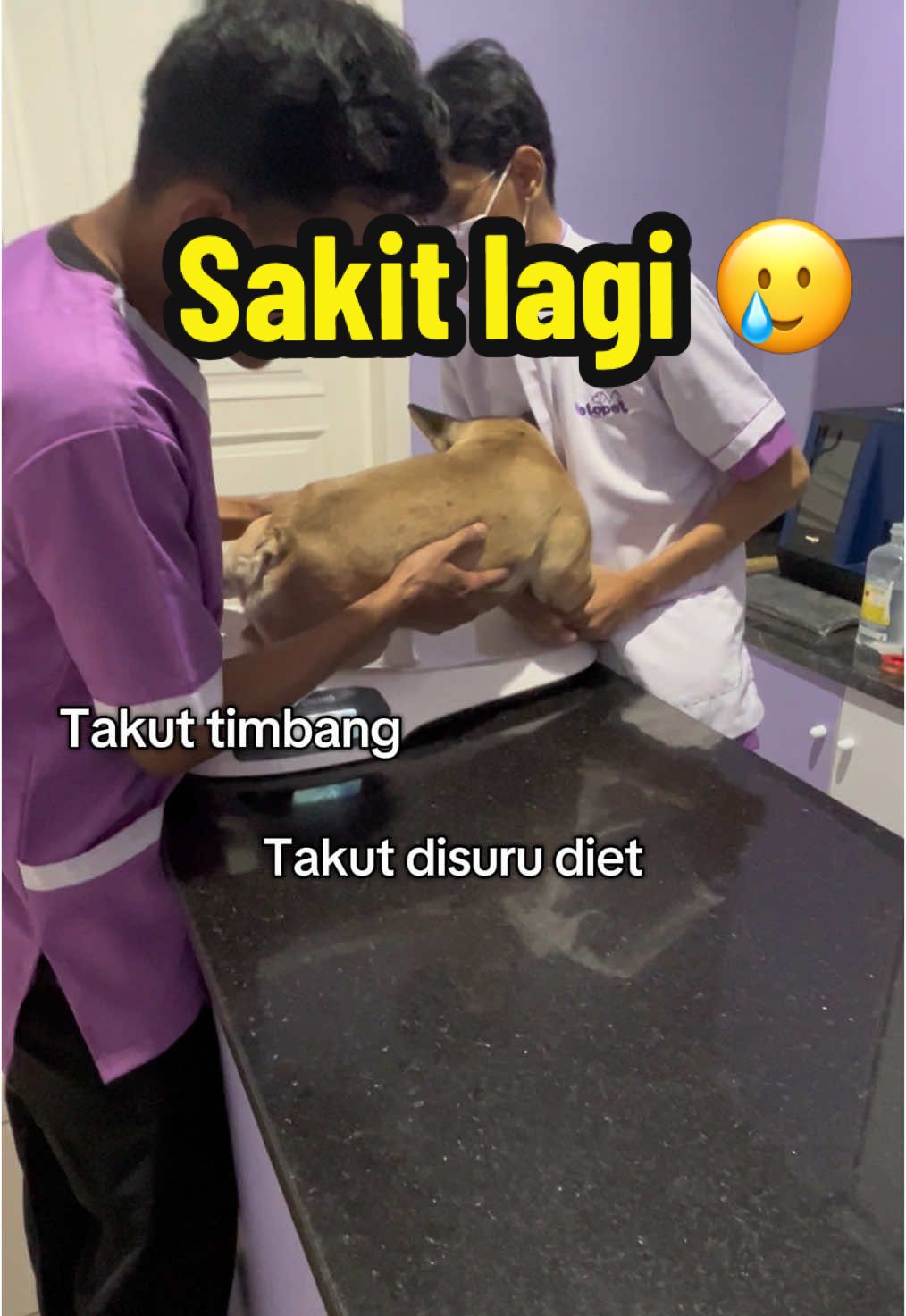 @PINAT SANJI