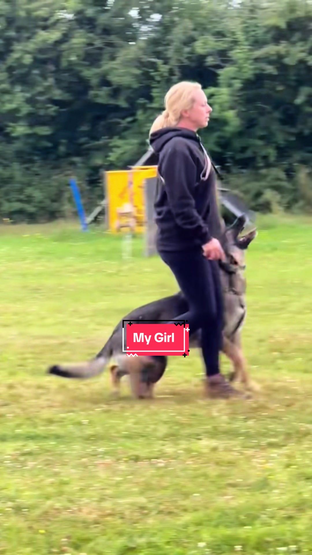 @Crazy GSD Lady