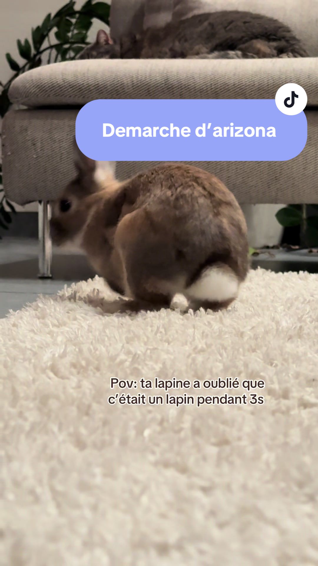 @Arizona🐰🤎