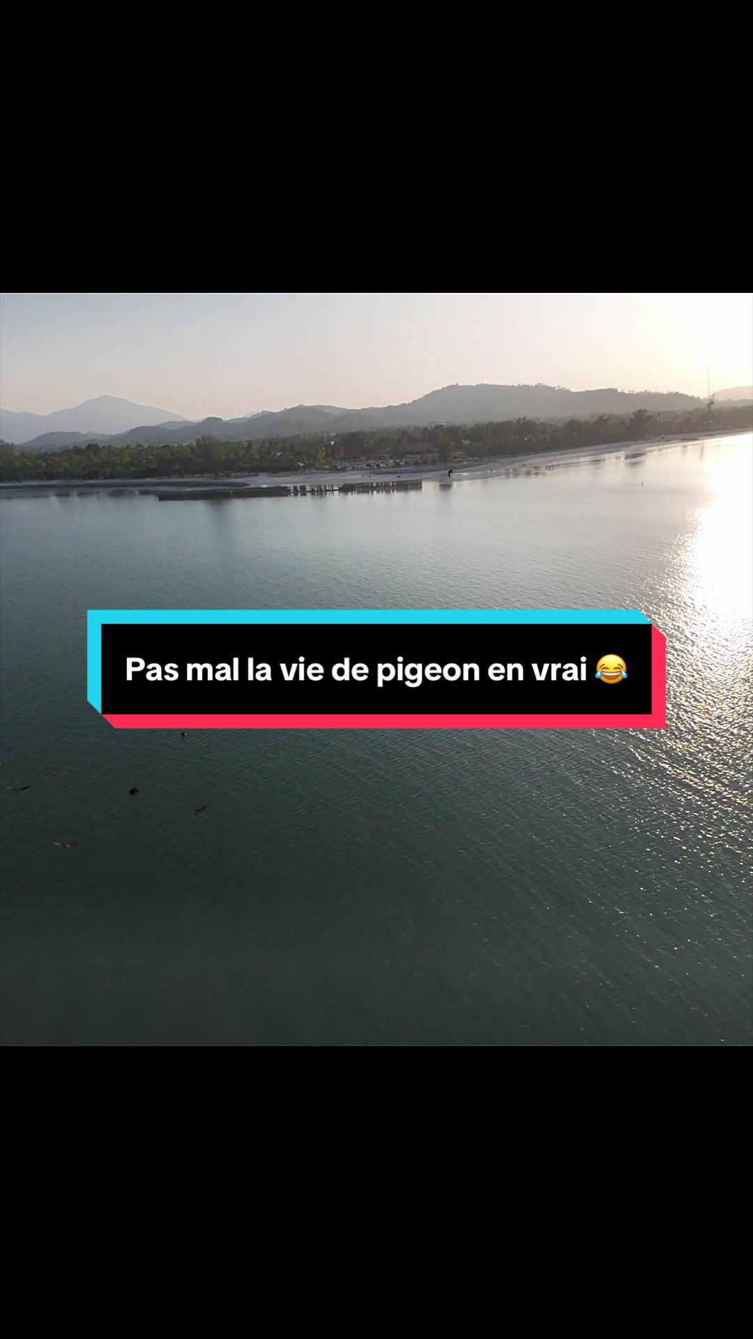@AdFly