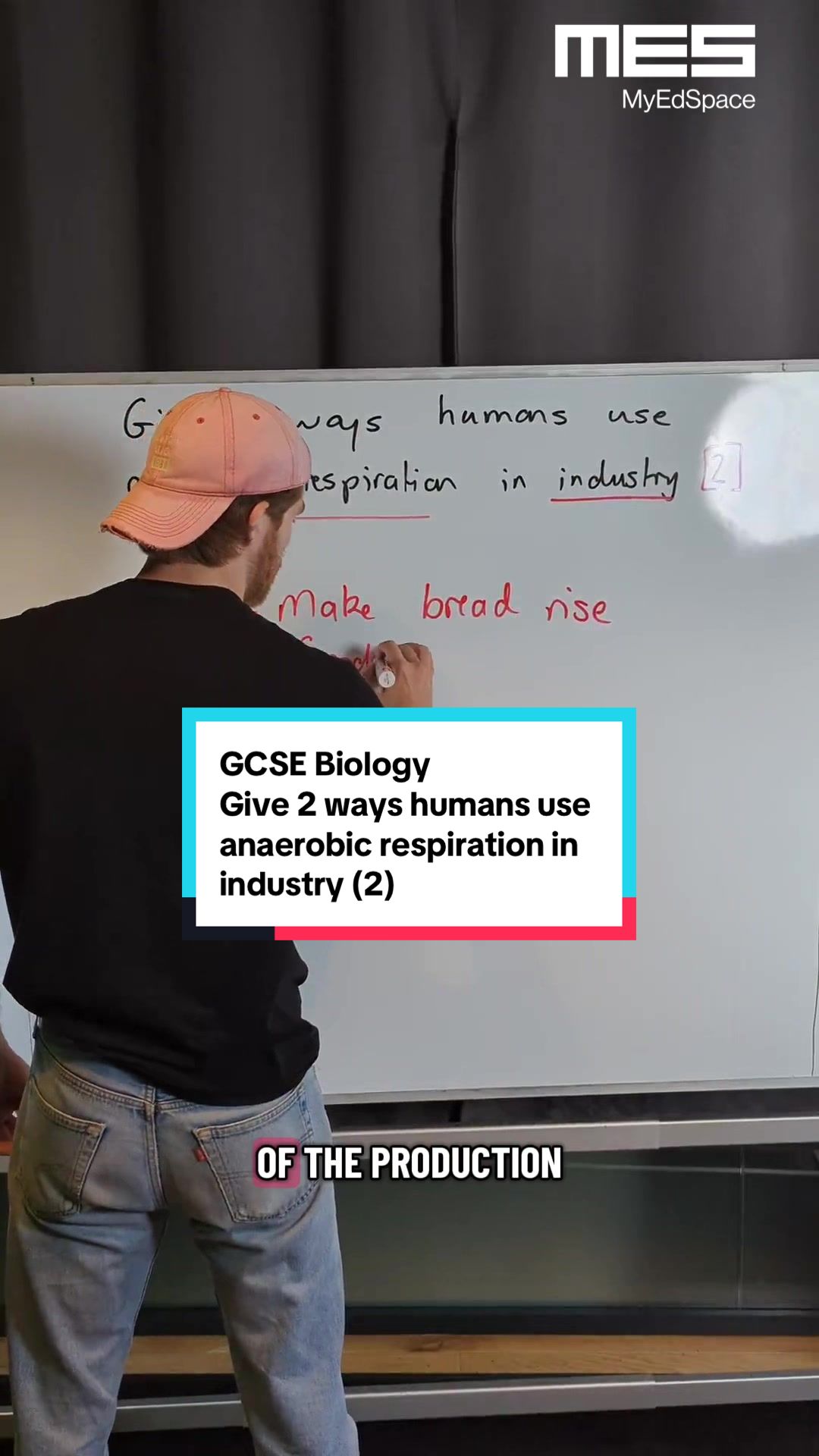 @MyEdSpace Biology