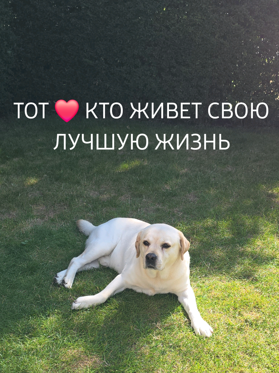 @Elena