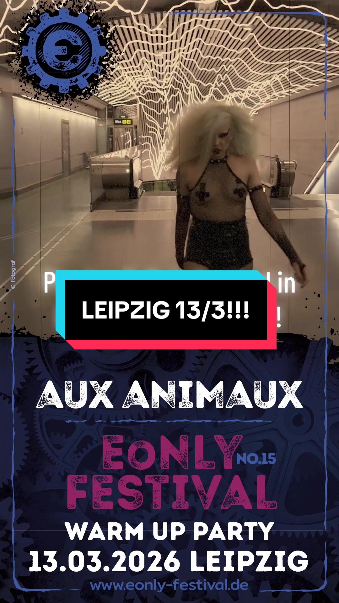 @auxanimaux