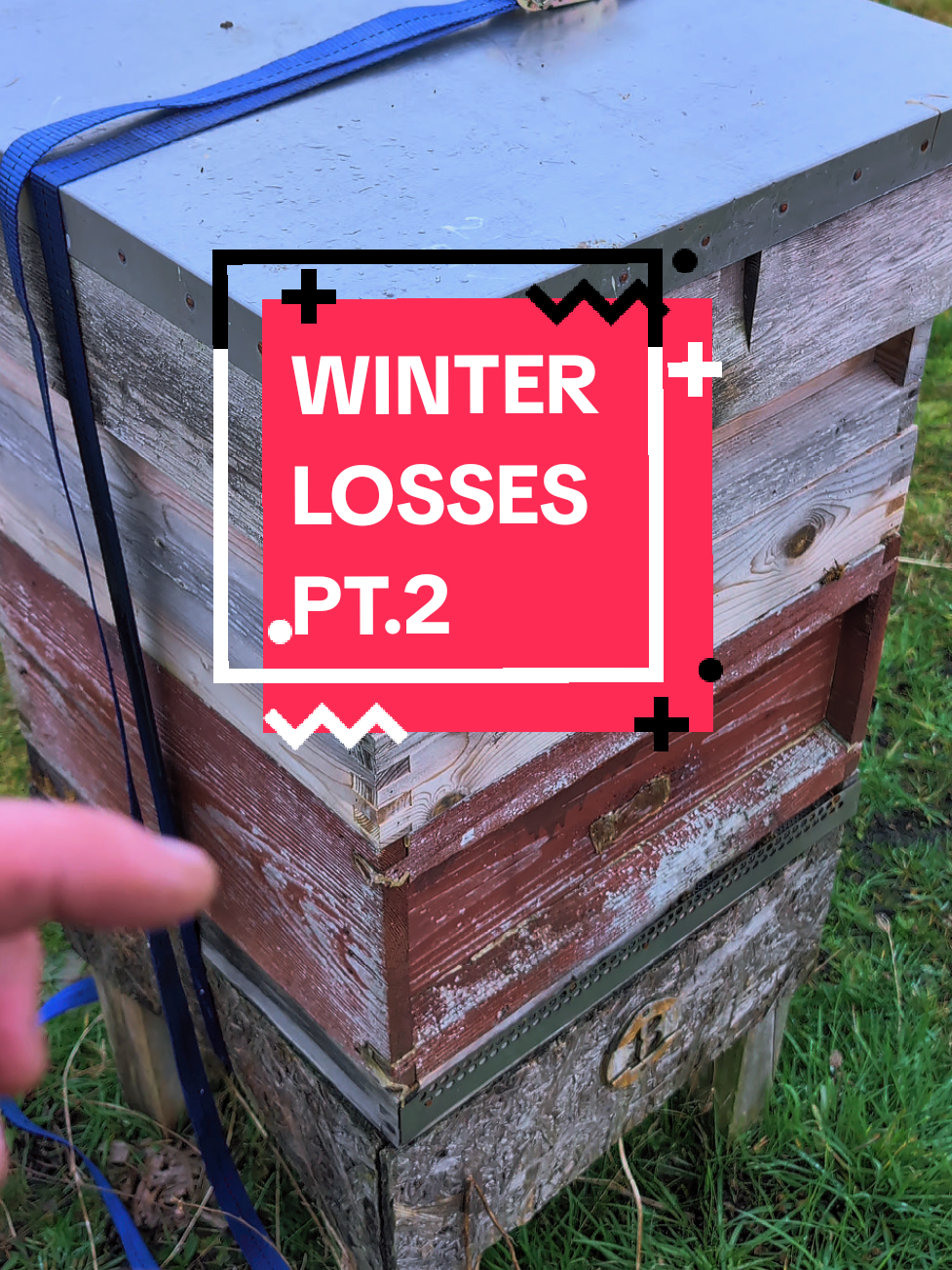 @Cherry Tree Hives