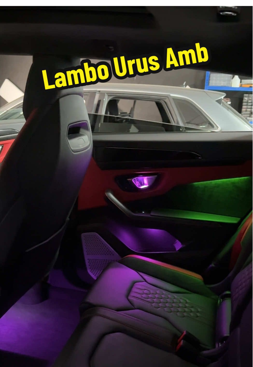@Lightnetic Ambience/Starlights
