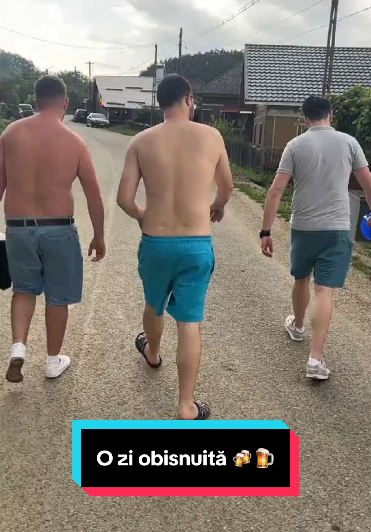 @V I O L I N