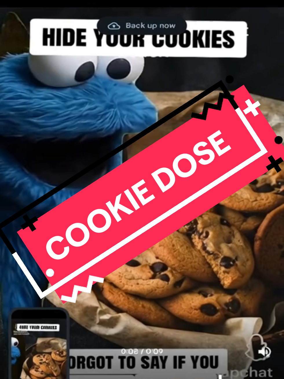 @C00kie D0se