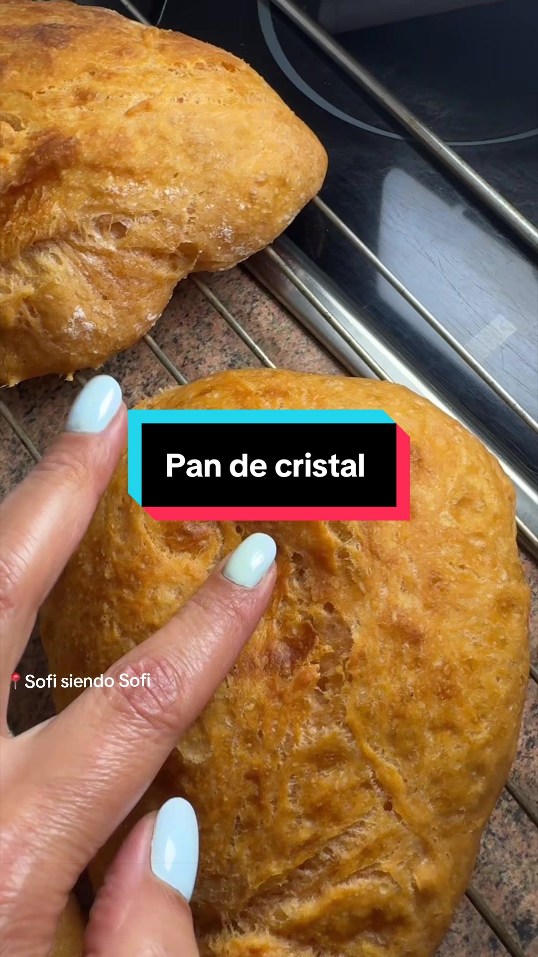 @Sofiaperestelo