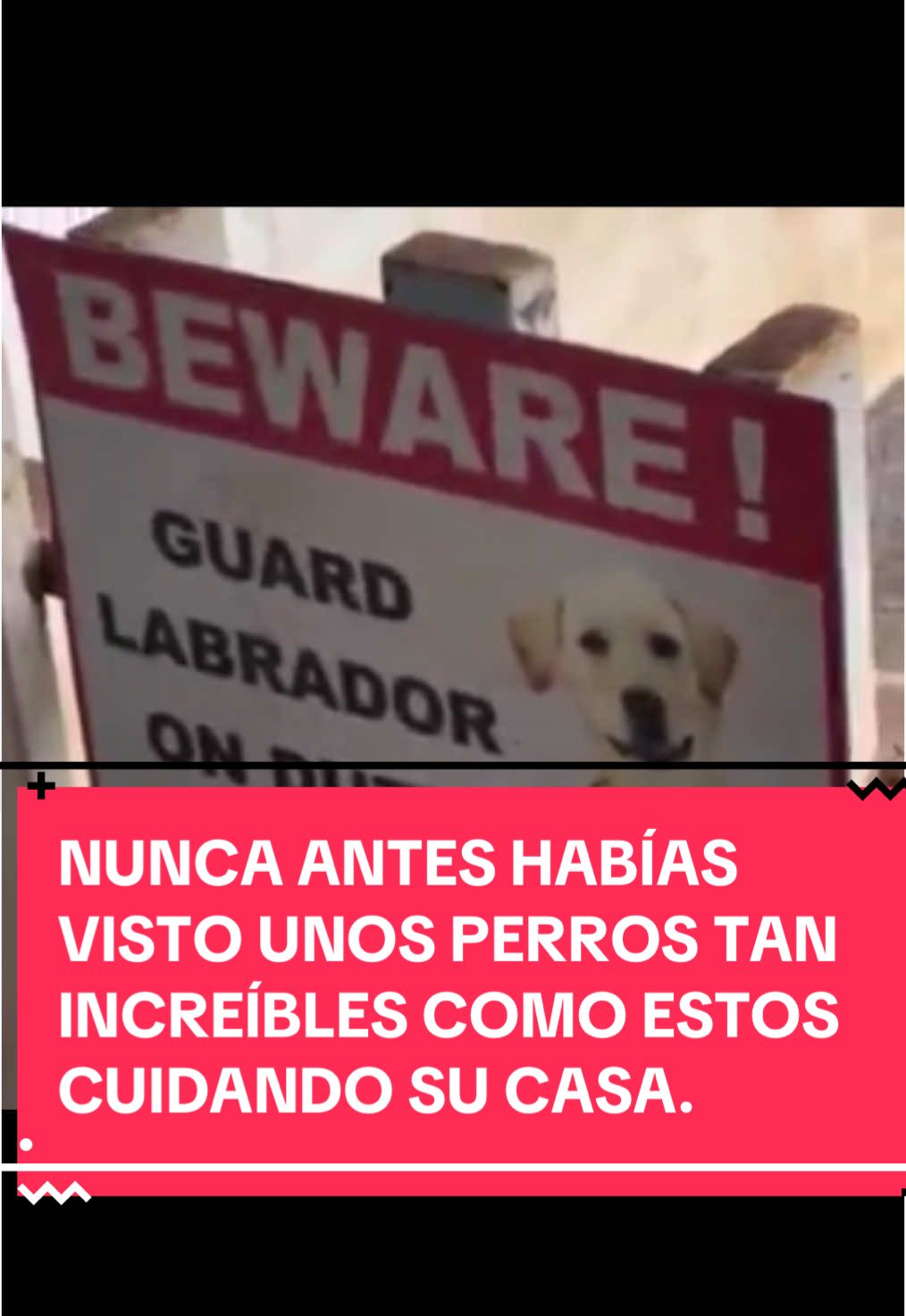 @maroci_b