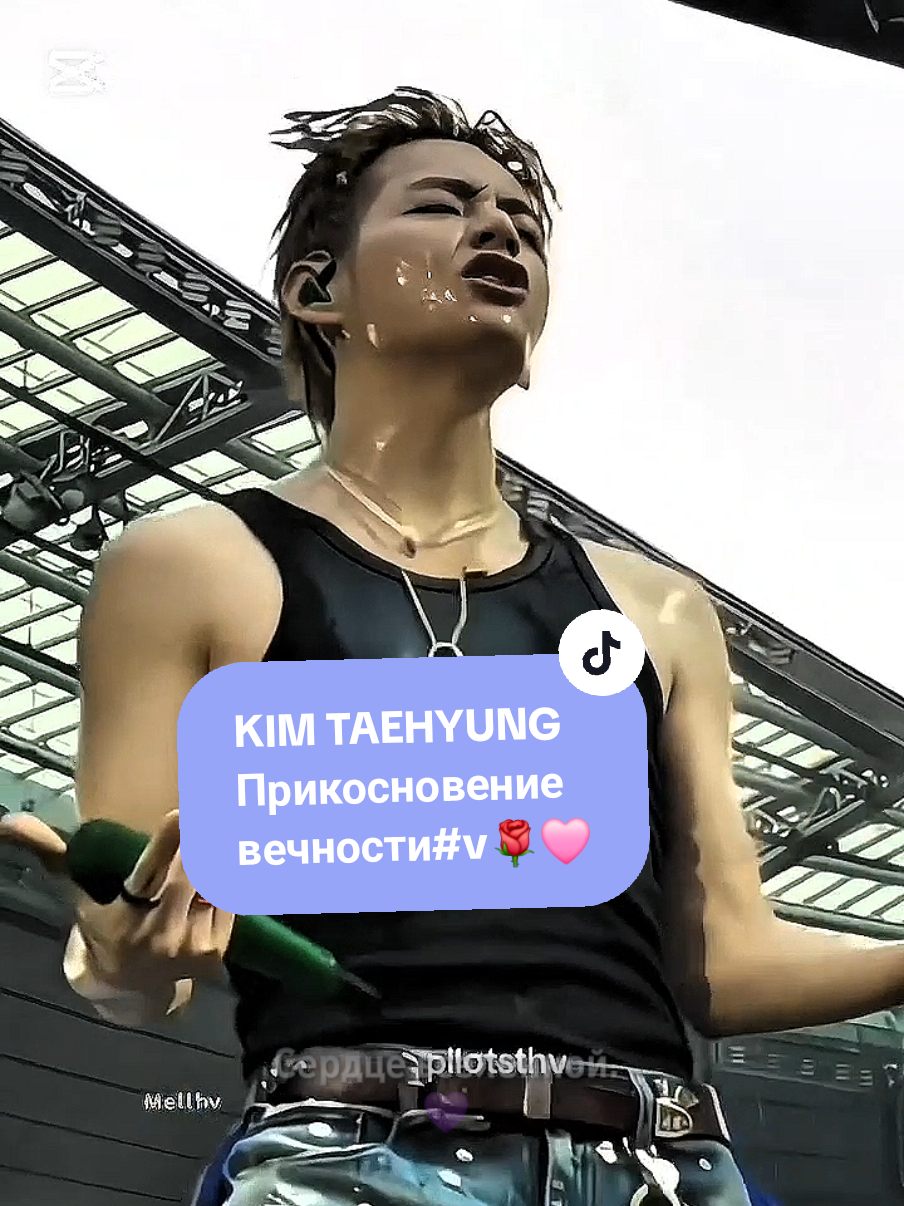 @tae/fan