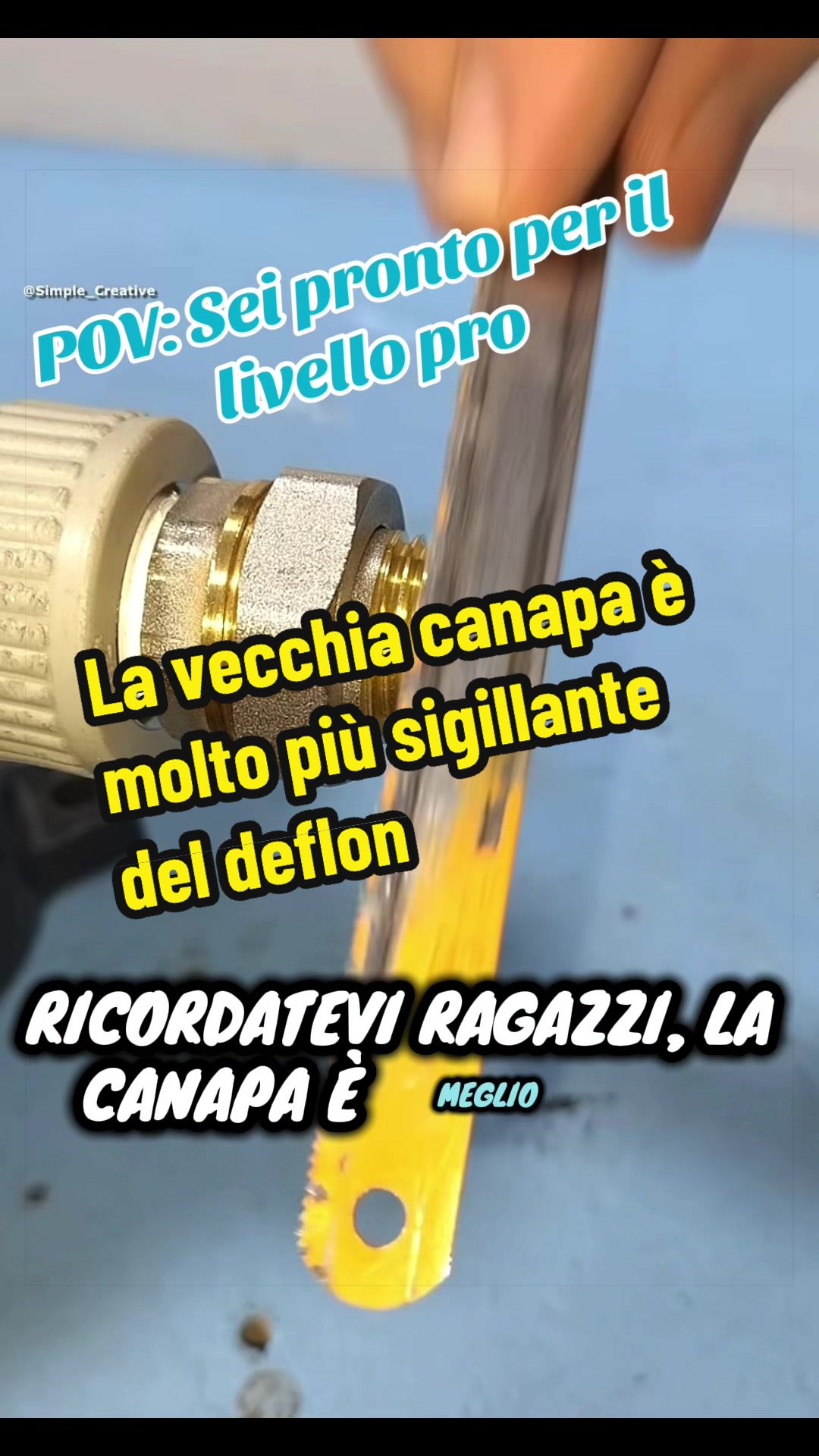 @Alessandro Cuomo ♌️