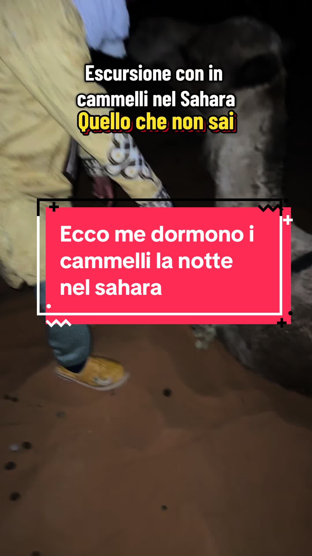 @Biagiuzzoo