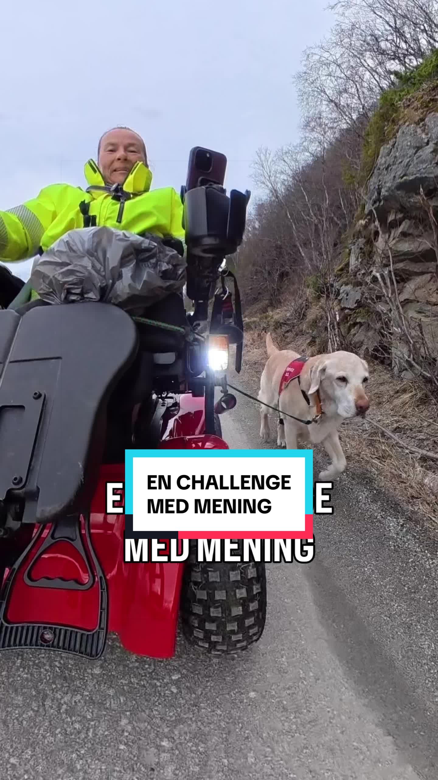 @MyHippiDog & Liv Tone 🇳🇴