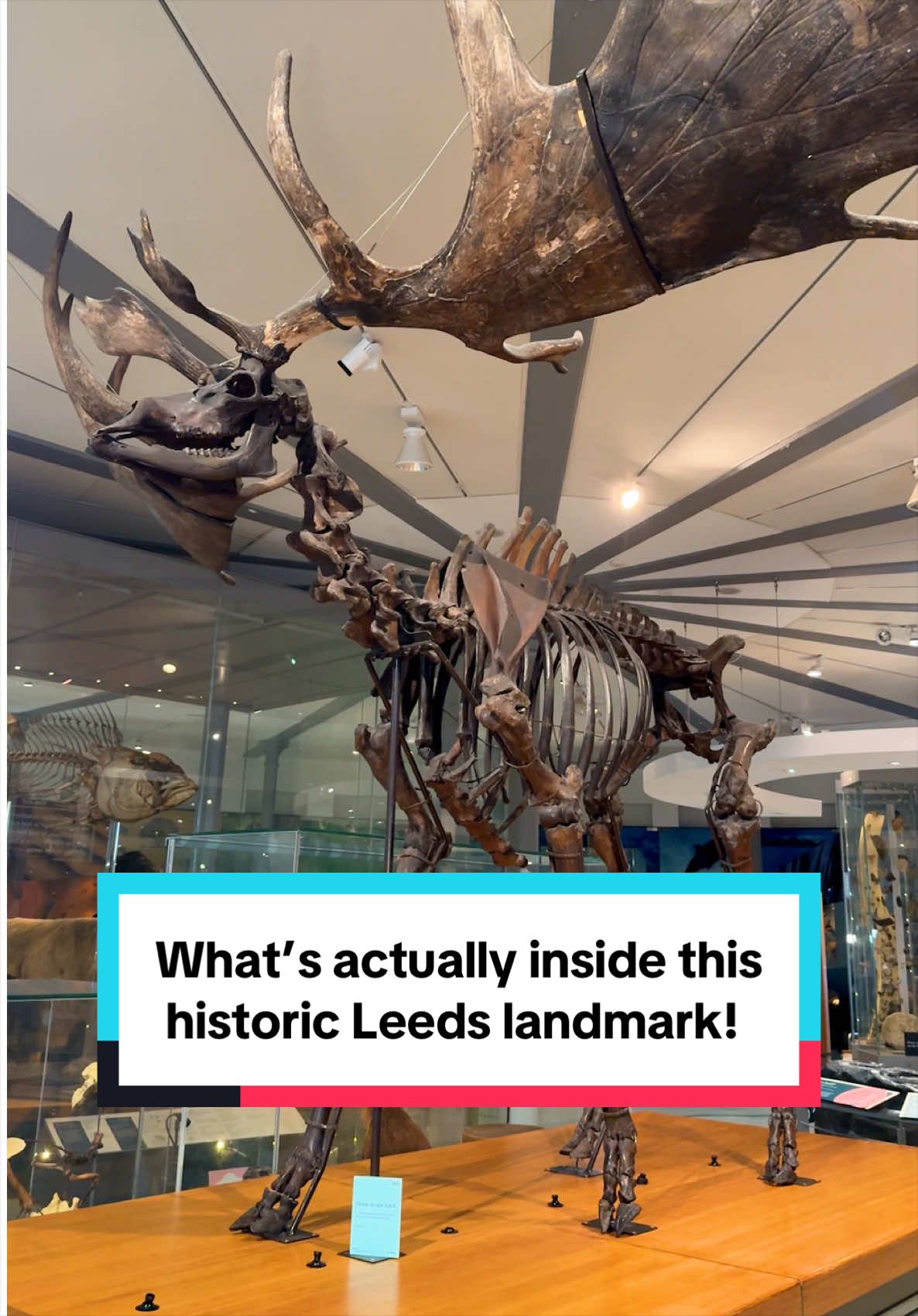 @Leeds+