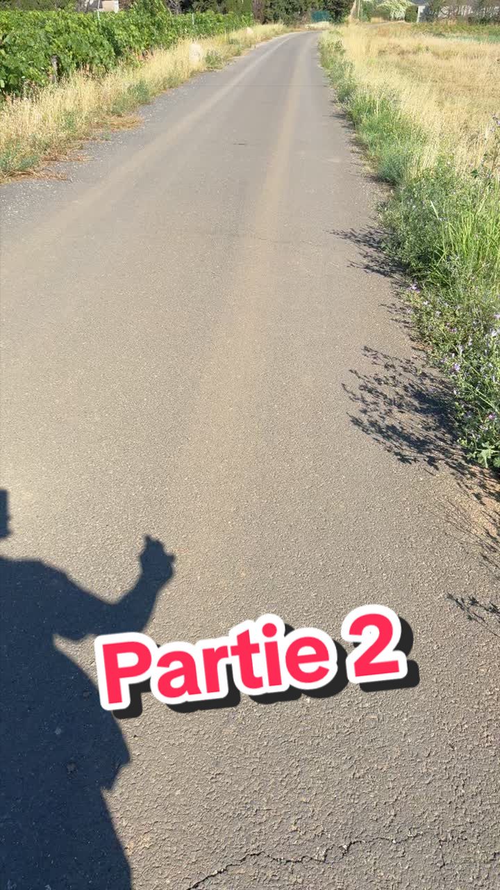 @Les aventures de JUJU