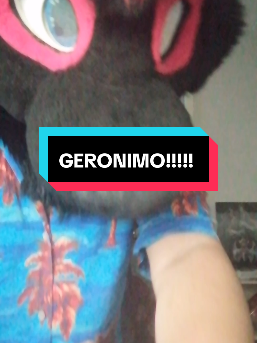@Hikaji The Husky