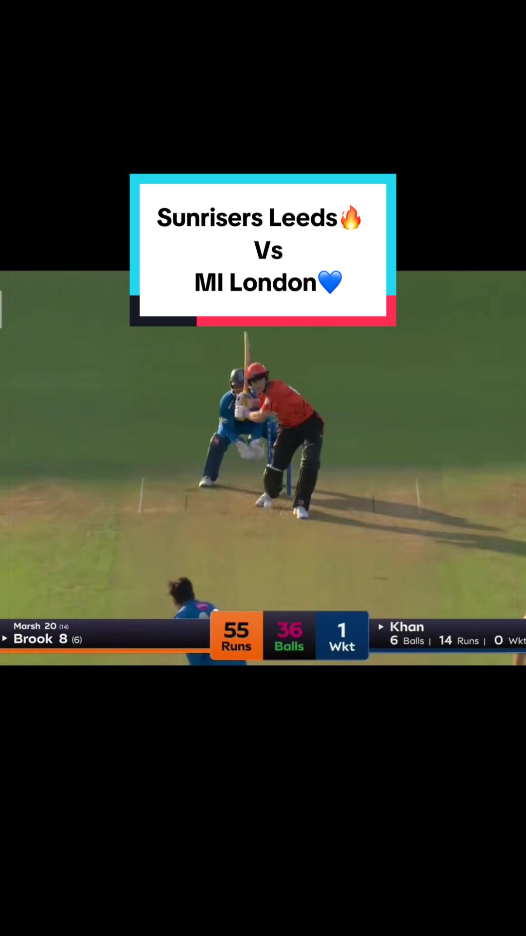 @cricket_hub66