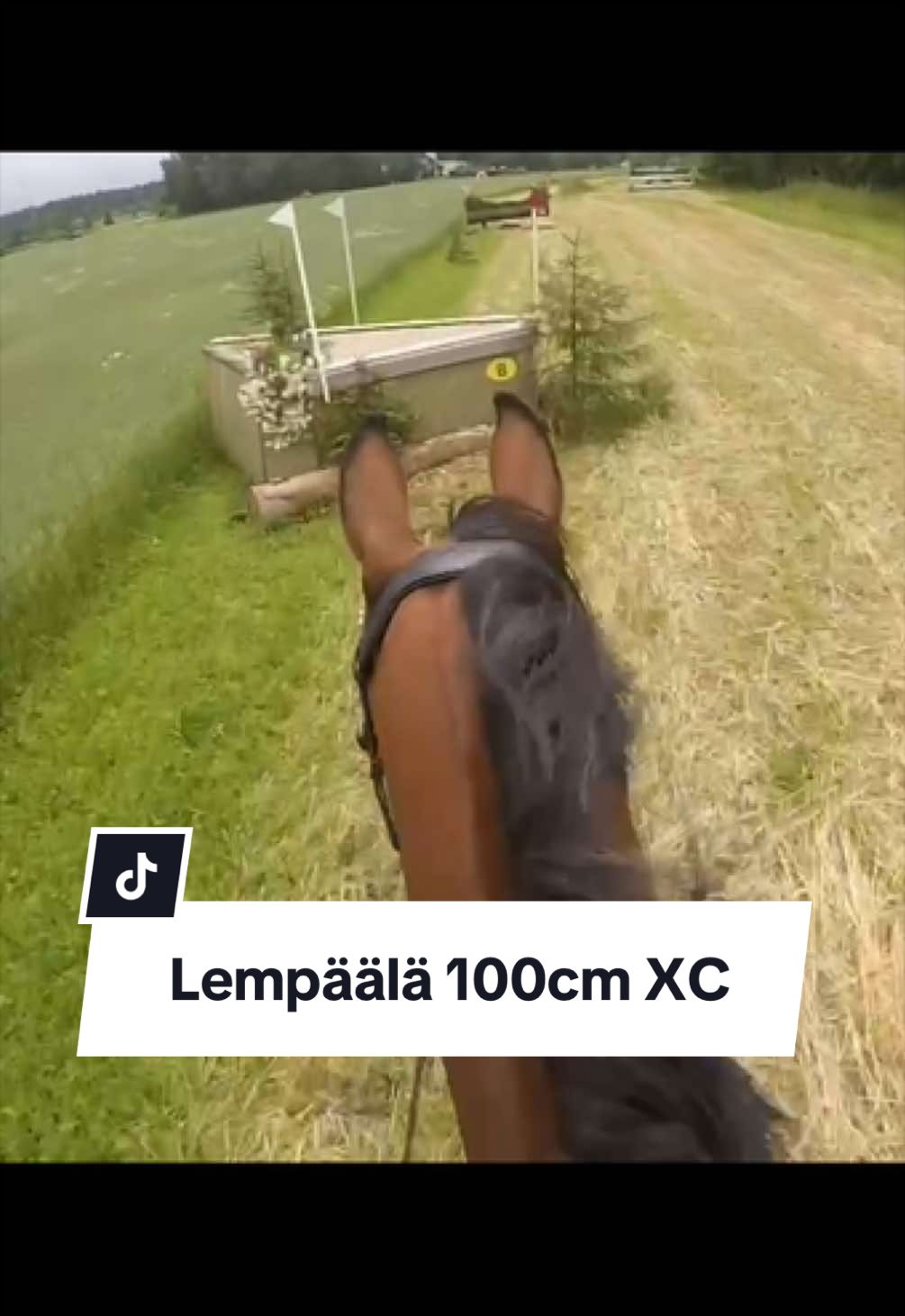 @Mansikkam&auml;ki Eventing