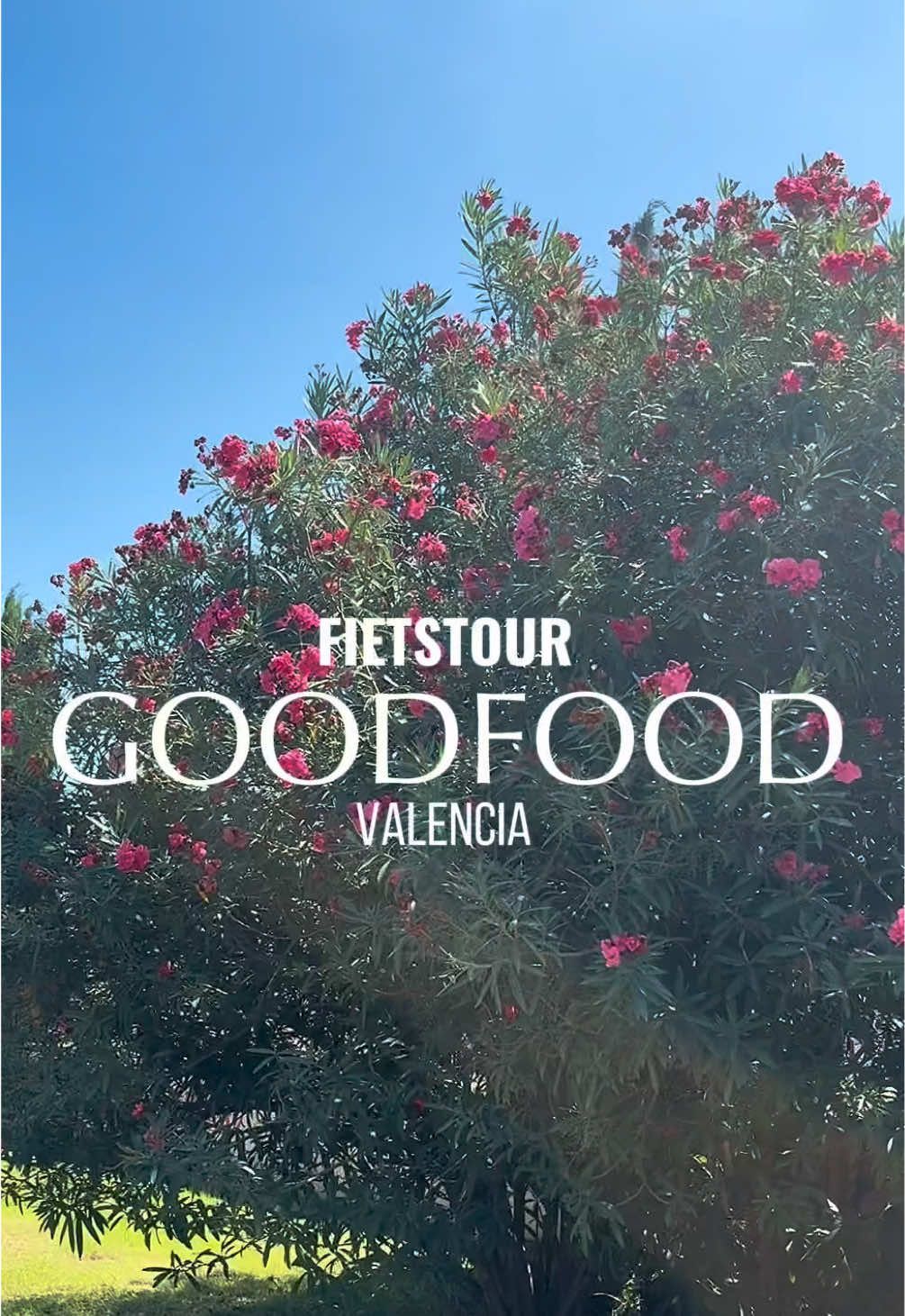 @Goodfood Valencia 🇪🇸🥘🚲