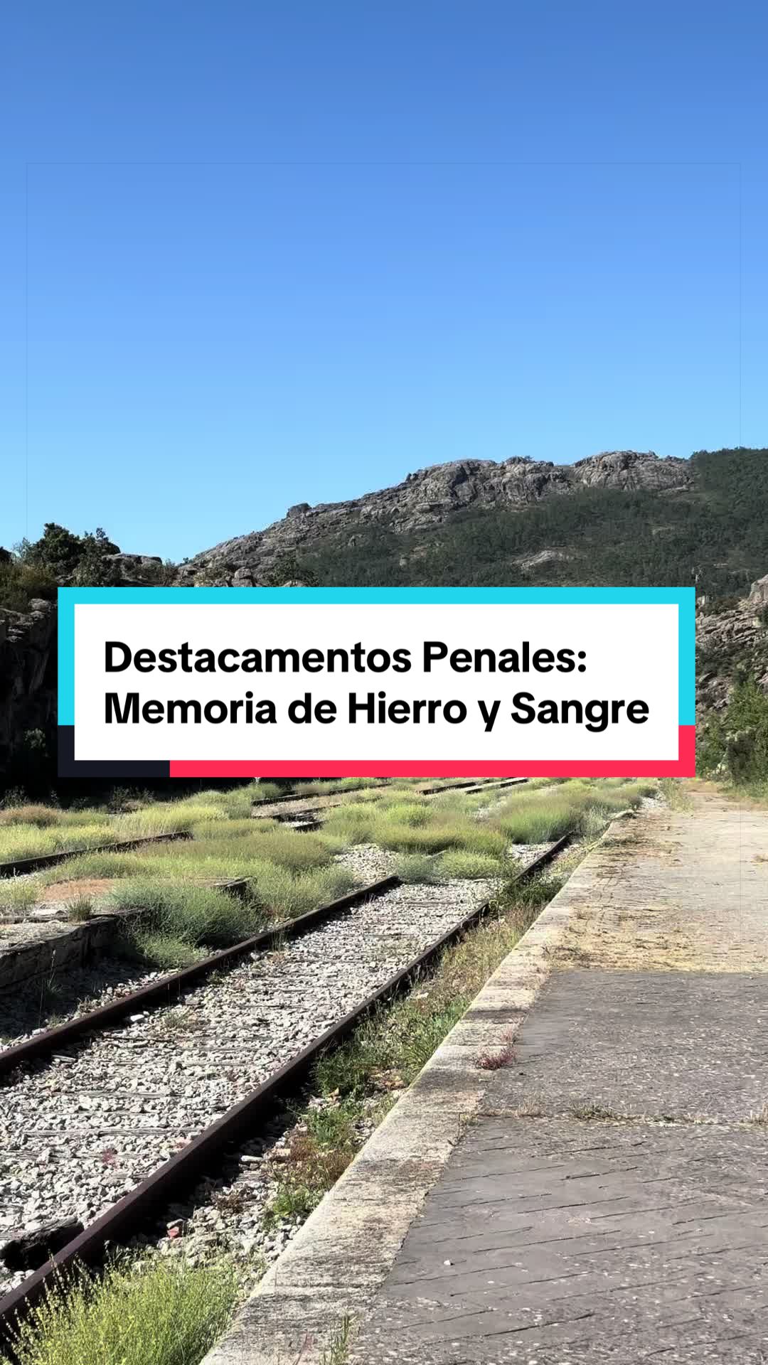 @Delegaci&oacute;n del Gobierno Madrid