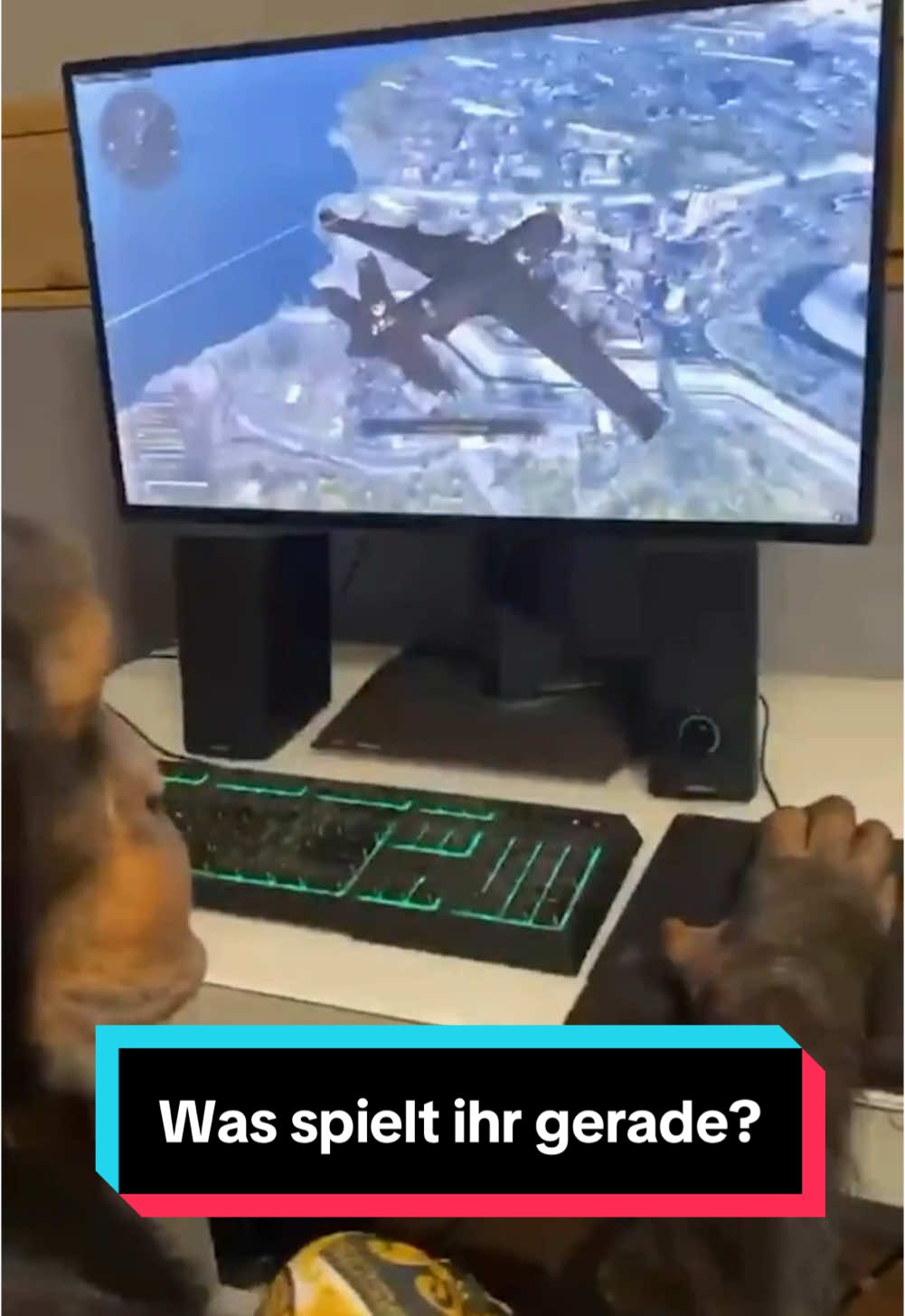 @RasenMeyer | Gaming Journalist