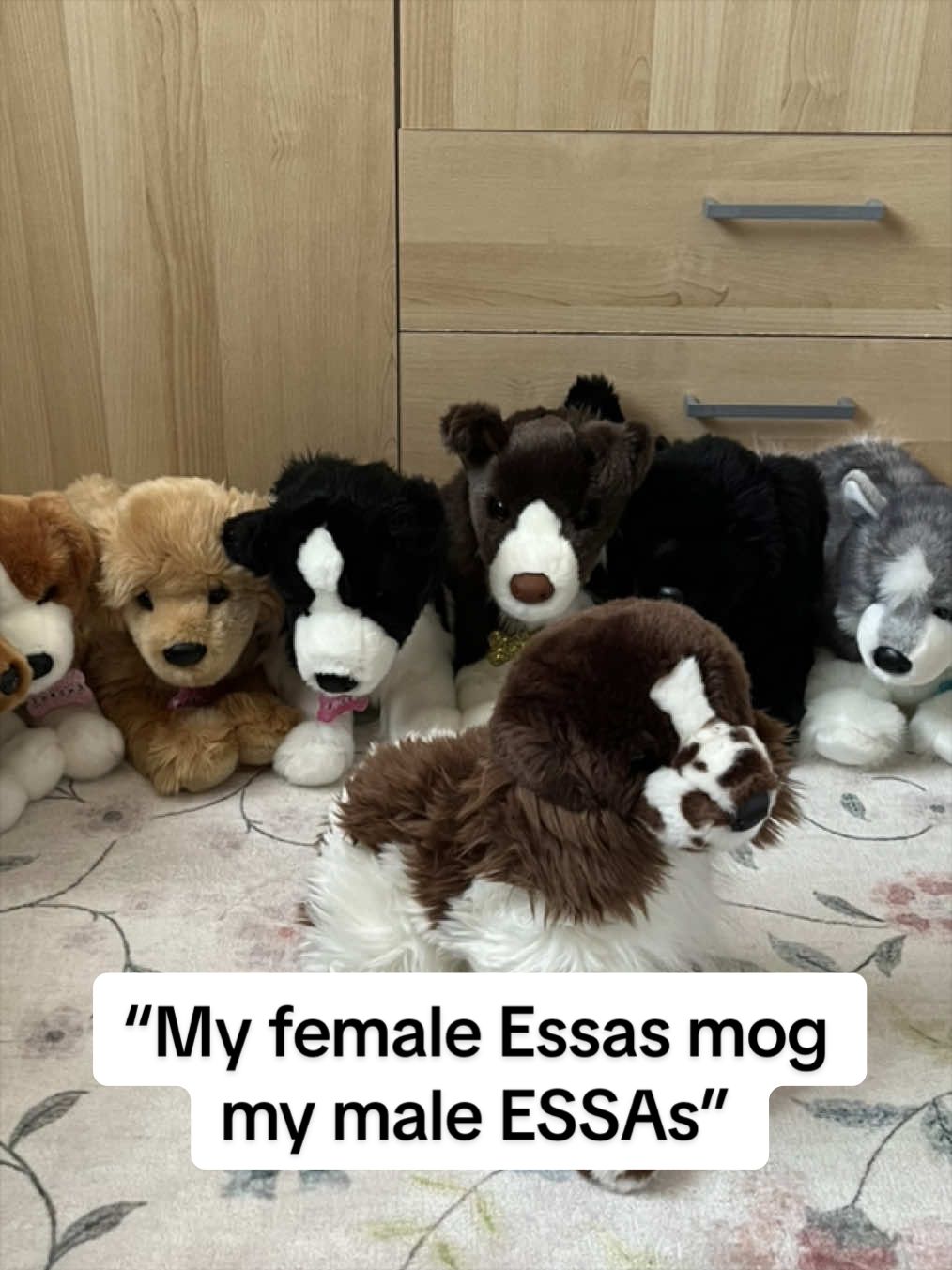 @The Essa Diaries
