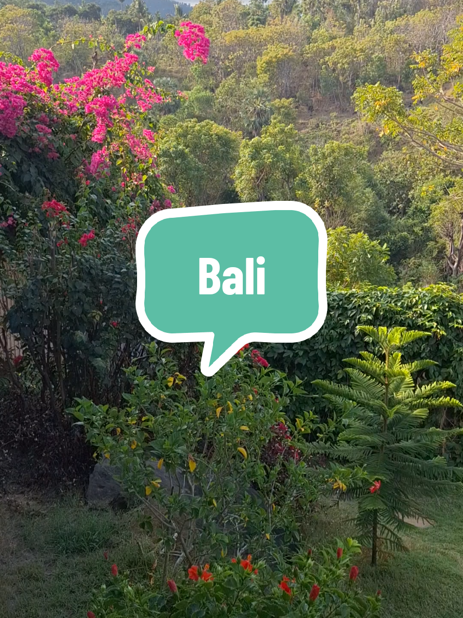 @Help by Sarah z Bali 🇲🇨🌴