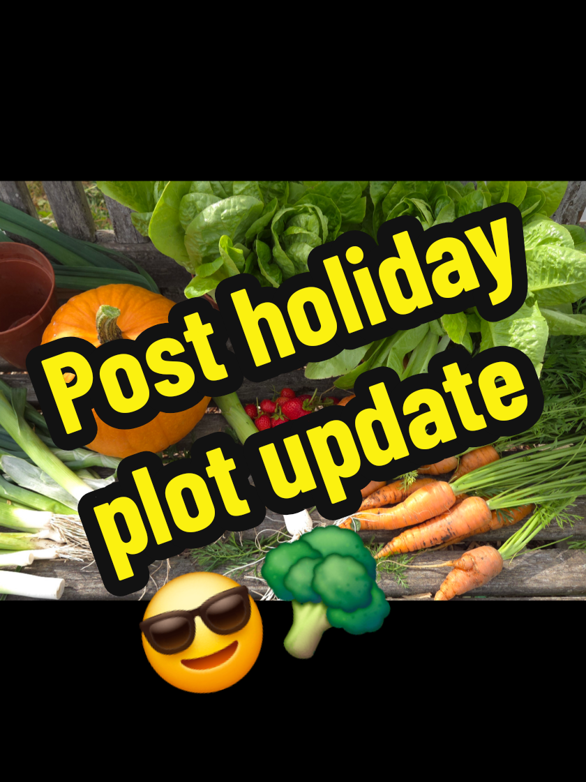 @Carrotman+Co ๐ฅ๐๐ธ