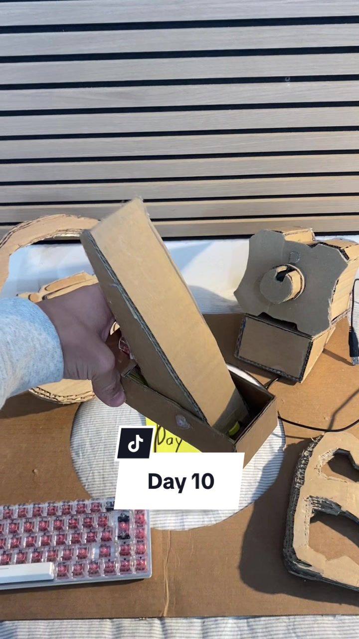 @CardboardProject