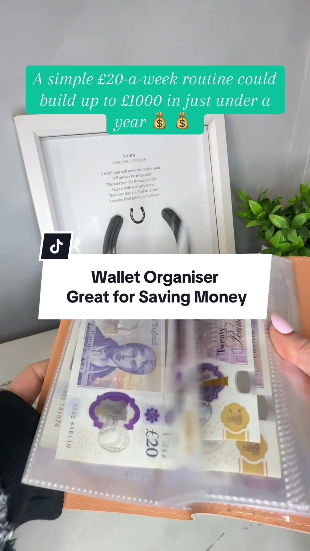 @Amira | TikTok Shop
