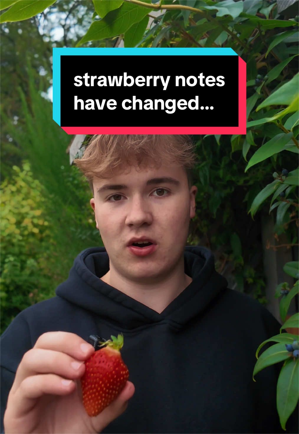 @Charles | Perfumer