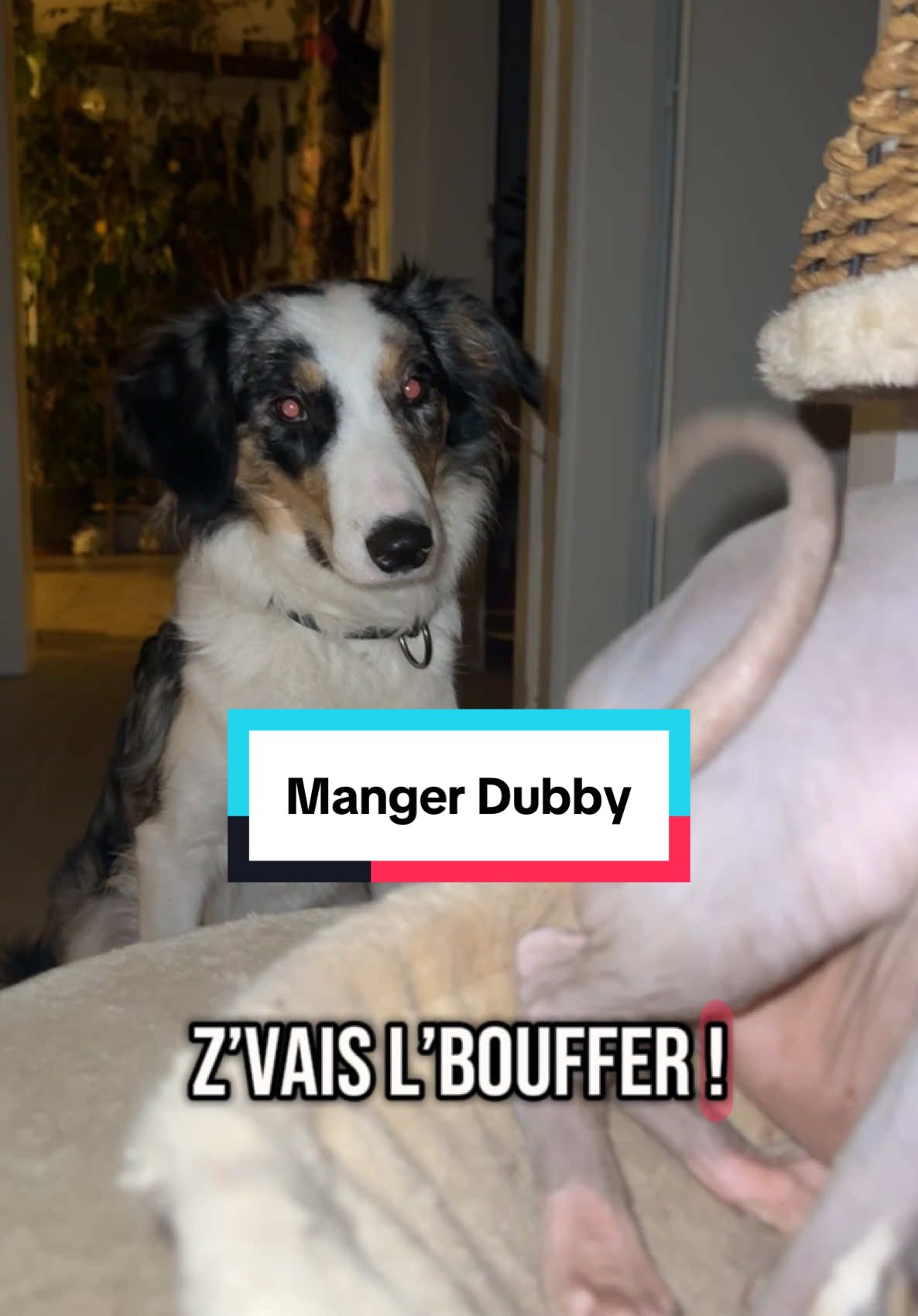@Fanny