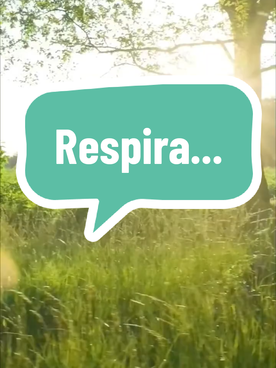 @Espacio para la calma