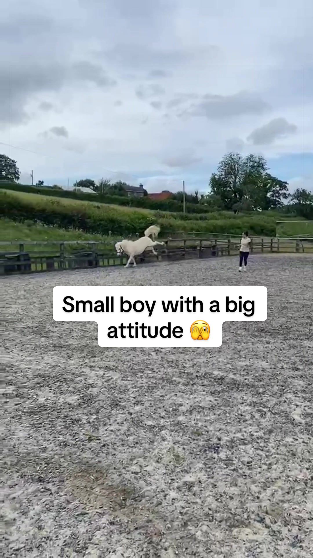 @jodiehenley