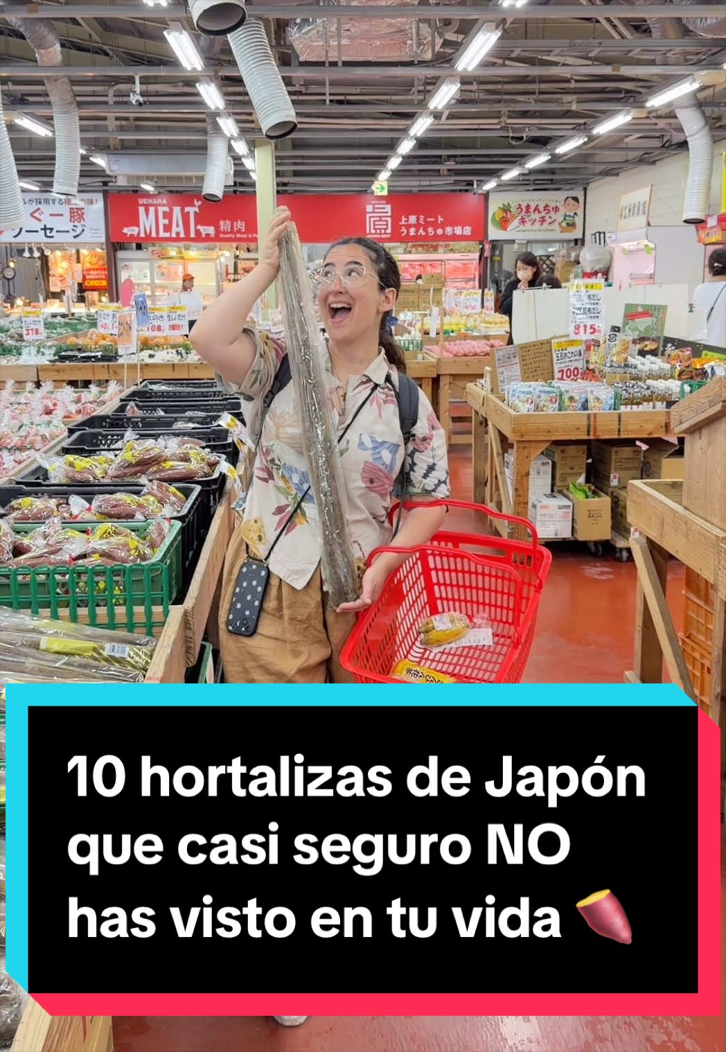 @Jap&oacute;n Alternativo